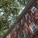 Public Trees at 116 University Rd