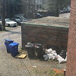Rodent Issues at 1855 Beacon St