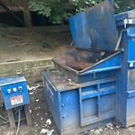 Rodent Issues at 42.34 N 71.12 W