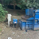 Rodent Issues at 42.34 N 71.12 W