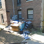 Rodent Issues at 1592 Beacon St