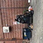 Rodent Issues at Andem Pl