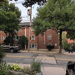 Public Trees at 212 Kent St