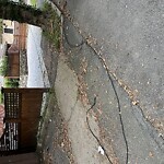 Other at 13 Bartlett Cres
