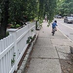 Sidewalk Obstruction at 162 Cypress St