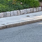 Rodent Issues at 829–861 Boylston St, Chestnut Hill