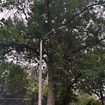 Streetlight at 71–73 Still St