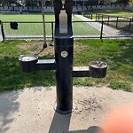 Water and Sewer at 345 Harvard St