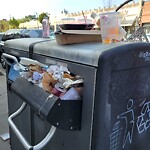 Trash/Recycling at 294 Harvard St
