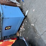 Rodent Issues at 419 Harvard St