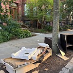 Rodent Issues at 1065 Beacon St