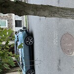 Parking Ticket at 93 Fuller St
