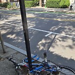 Abandoned Bike at 11 Babcock St