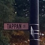 Streetlight at 366 Tappan St, Brookline 02445