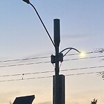 Streetlight at 366 Tappan St, Brookline 02445