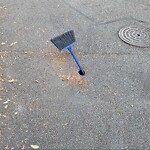 Water and Sewer at 87 Browne St