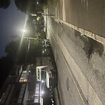 Parking Ticket at Park St