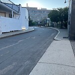 Dead Animals at 9 White Pl
