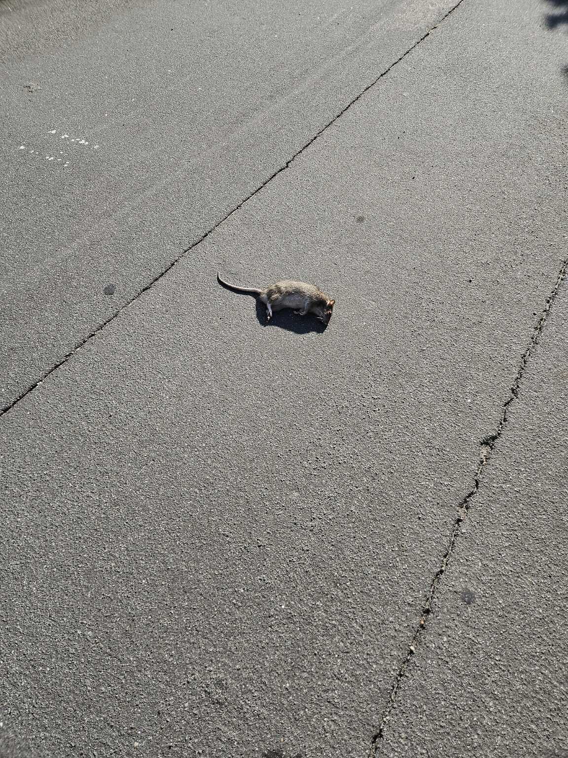 Photo_20250816_084904