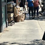 Sidewalk Obstruction at 1340 Beacon St