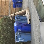 Trash/Recycling at 11 Park St