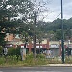 Public Trees at 1631 Beacon St