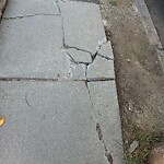 Sidewalk Repair at 87 Coolidge St