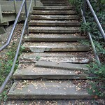 Sidewalk Repair at 221 Mason Terrace