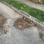 Water and Sewer at 160–198 Payson Rd, Chestnut Hill