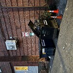 Rodent Issues at Andem Pl