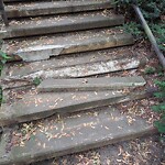 Sidewalk Repair at 174 Winchester St