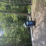 Trash/Recycling at 247 Gerry Rd, Chestnut Hill 02467