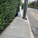 Sidewalk Obstruction at 4 Greenway Ct