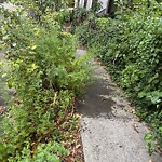 Sidewalk Obstruction at 47 Gibbs St