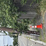 Sidewalk Obstruction at 298 Clyde St, Chestnut Hill