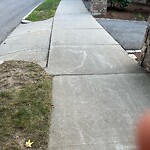 Sidewalk Repair at 44 Sumner Rd
