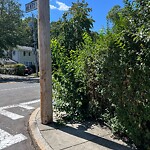 Sidewalk Obstruction at 1–99 Henry St
