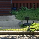 Trash/Recycling at 22 Osborne Rd