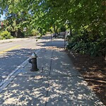 Parking Issues at 220 Walnut St