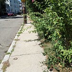 Sidewalk Obstruction at 40 Franklin St