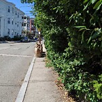 Parking Issues at 55 Oakland Rd