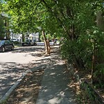 Sidewalk Obstruction at 240 Walnut St