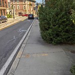 Sidewalk Obstruction at 88 Walnut St