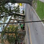 Damaged Sign at 53 Worthington Rd