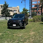 Parking Issues at Walnut St