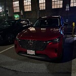 Parking Issues at 13 Webster St