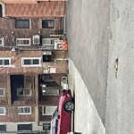 Rodent Issues at 725 Washington St, Brookline 02446