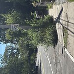 Sidewalk Obstruction at 111 Chestnut St
