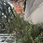 Sidewalk Obstruction at 25 Park St
