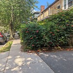 Sidewalk Obstruction at 173 175 Winchester St
